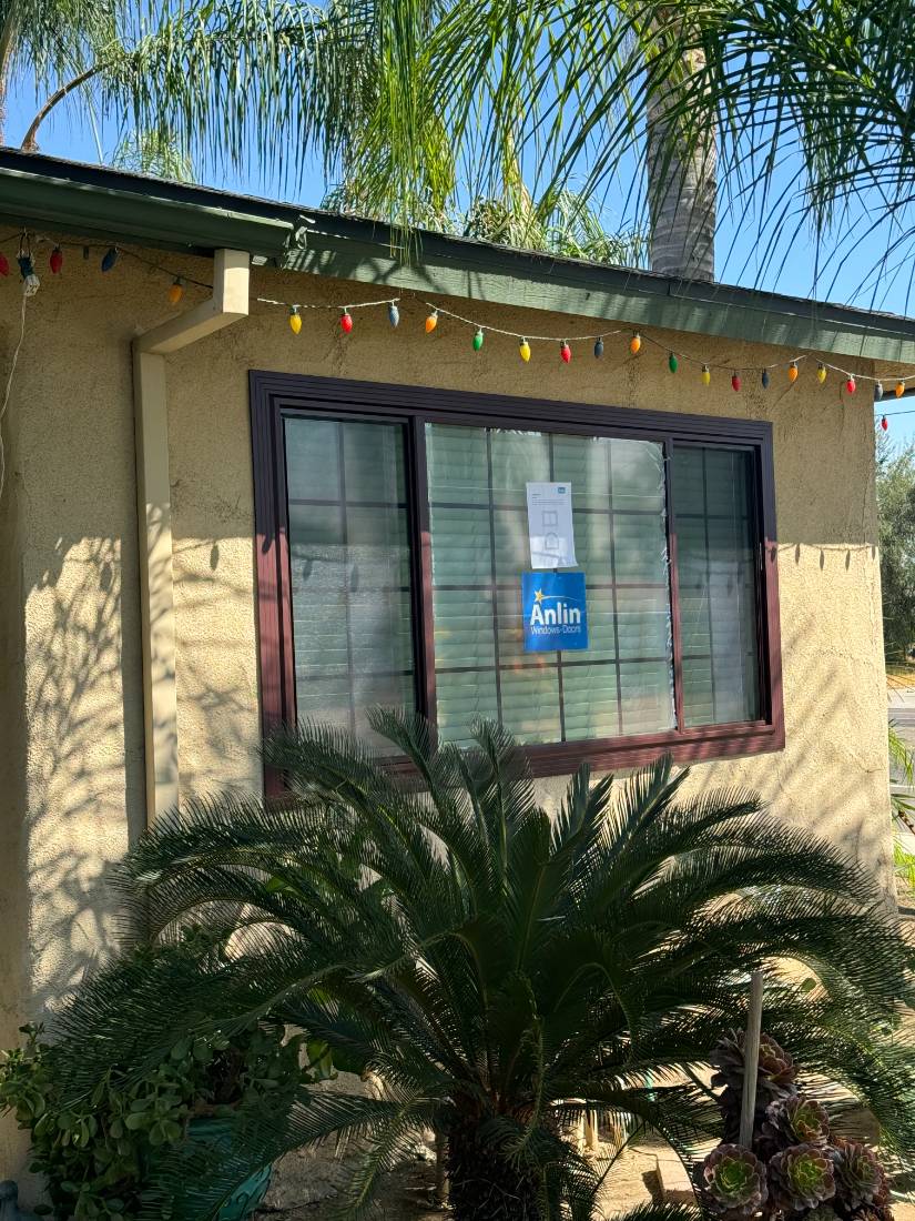 New windows